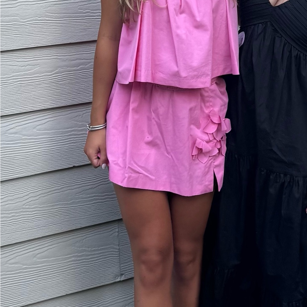 ZARA Pink Skirt